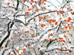 【毛秀璞】2025年的雪 / 归宿