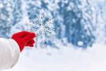 香香：看一场初雪