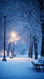 竹音：十二月降雪