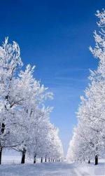 《雪景赋》（外一首）——王现军——《诗韵摇篮》征稿——都市头条