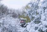 《露华. 落雪》作者：张文富/ 诵读：音乐无限