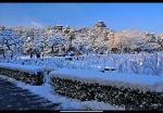 甲辰岁首雪（散文）/李 庆 和