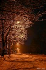 写于冬夜——徐强——《诗韵摇篮》征稿——都市头条