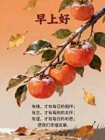 【都市头条成都文苑编辑部】主编周原翁;诗文作者何俊锋.张恒.屈军强.八宝楼.沧海一龙.