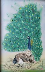北京头条《青波访谈》之岁月如歌（557）-作者：青波-编辑：李诗音-央华网-人民网-环球同步