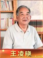 七律·沂蒙文脉仰兰陵——观王凌晓先生作客《沂蒙作家会客厅》三章‖文/李思義（山东临沂）