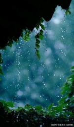 雨——耕读客——《诗韵摇篮》征稿——都市头条
