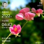 晨光载梦    奔赴山海