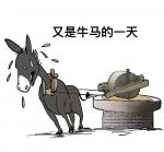 香香：驴子的一生