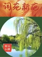 柳韵诗社【第四板块】词苑新葩 第十二期