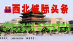 【散文】难忘的丢丢：文图/杨小利（陕西西安）