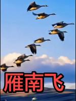 请欣赏《雁南飞》作者/张文富       主播/过往      编辑/一个人【中国长江文学社】有声文学平台【第20401期】