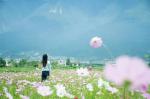 【艾雪诗词】荐赏：观《诗行天下》两首