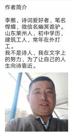 《平凡的传奇》悍蝶作品