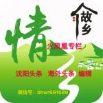 七言《闹元宵》  — 文/张冰