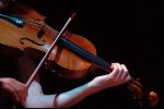 庄言佳作欣赏《千年之后（外二首）》
