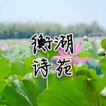 卜算子·女神赞