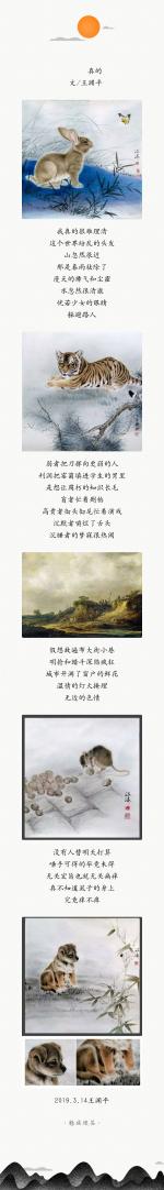 《真的》王渊平老师佳作欣赏