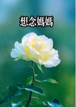 《忆母》诵读：静心   ‖  文/天宇
