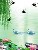翠柳【雅韵流芳】诵/玉华