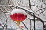 【名师佳作】笨笨鼠诗歌专辑001期/红色文化传媒/润牙子编辑