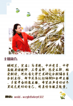 在多彩的光里头   文/林水火       播/蝴蝶兰