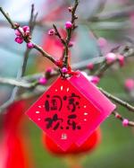请您欣赏牟净文老师的佳作  喜迎新年  诵读/建萍