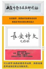 【长安诗文·美诗】丹舟/辞旧迎新（藏头诗）