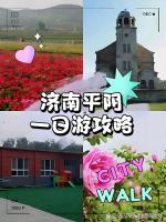 家在平阴《送上我真诚的祝福》山东济南