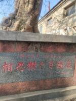七绝  初三与妻趋舅子哥家(平水韵)