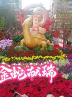 乙已新春    文/梁少棉    晋粤作家平台