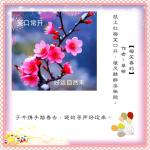 翠柳【梅笑春韵】诵/玉华