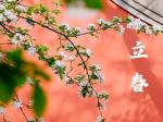 【李武兵】立春，阳光唤醒生长的朝气