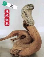 《我和立春有约定》（外一首）作者：杨浩然（山东）编辑制作：段广亭【都市头条采菊东篱文学社】
