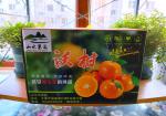 《海天诗画》名家精品望春回.山水沃柑(外二首)作者‖平安是福（河北）
