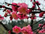 昔日孤芳常自赏，今朝AI共评章——许兆河对联‘
