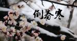 翠柳【倒春寒】诵/玉华