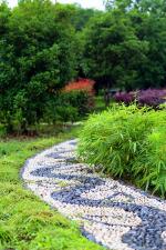春天暗藏通向彼岸的钥匙文/林水火      主播:蝴蝶兰