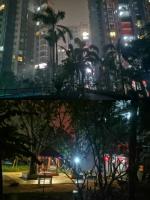 杭州毛儿又到海南（之九）《围着篝火闹元宵》