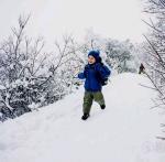 冬雪不告人