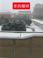 冬雪不告人