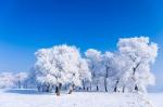 【现代诗】银雪送祥瑞  作者：谢云峰（江西）