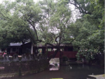 【中国雨巷文学社】北京头条 第2742期 散文《故乡的南山》作者：徐进科 - 金华，朗诵:梅红 - 杭州