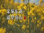 【中国雨巷文学社】北京头条 第2742期 散文《故乡的南山》作者：徐进科 - 金华，朗诵:梅红 - 杭州
