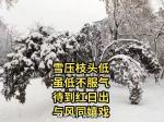孙成《触景趣味诗三首》诵读：心想事成