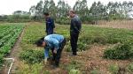 走访多元种植户 宣传政策助振兴