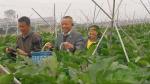 走访多元种植户 宣传政策助振兴