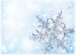 布衣诵读《雪花》  作者：欧震