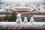 高虹诵读《初雪带来的欢喜》  作者：任学路