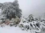 雪景